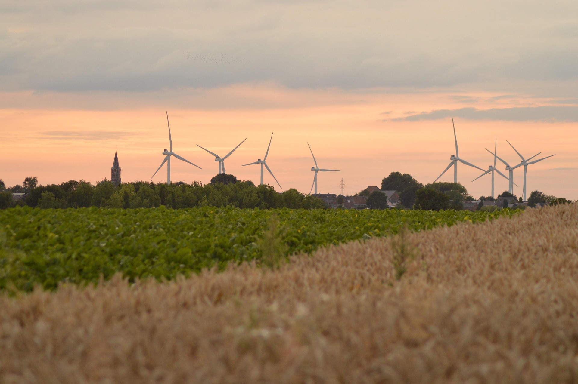 Bild av Dorothée QUENNESSON 